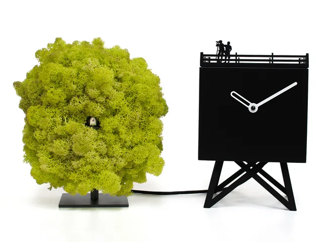 progetti-birdwatching-orologio-a-cuc-da-tavolo-in-legno-con-albero image 1