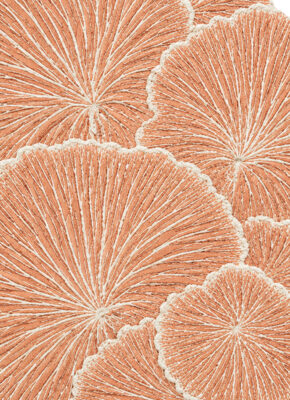 illulian-coralia-versione-b-tappeto-marino-fatto-a-mano image 7