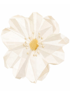 tappeto-illulian-floris-camelia-versione-b-di-design image 5