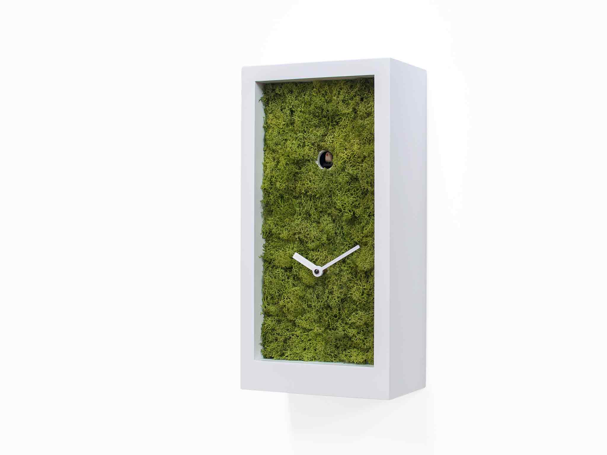 progetti-amazon-orologio-a-cuc-moderno-legno-e-muschio image 4