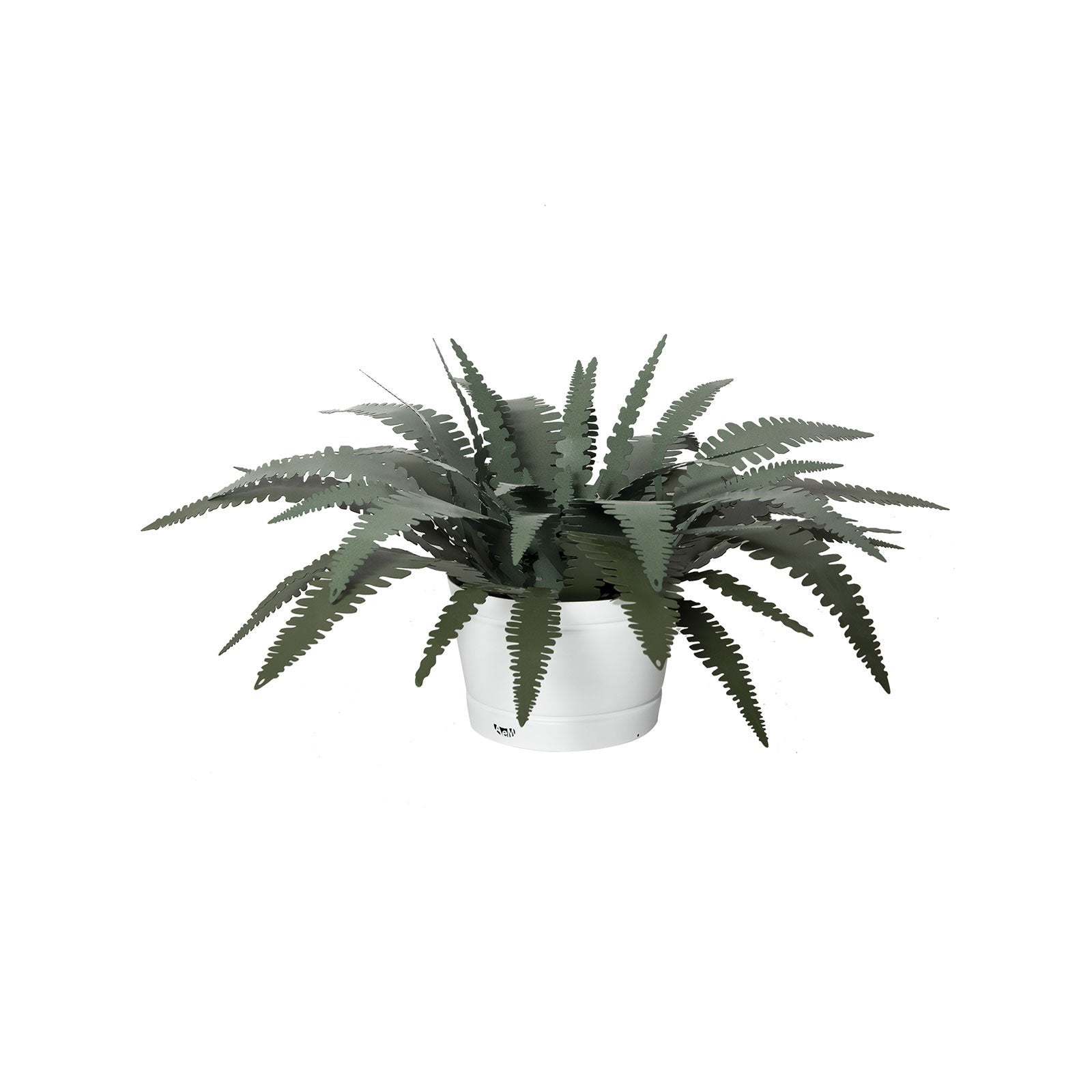 arti-mestieri-pianta-decorativa-felce-piccola-in-ferro image 1