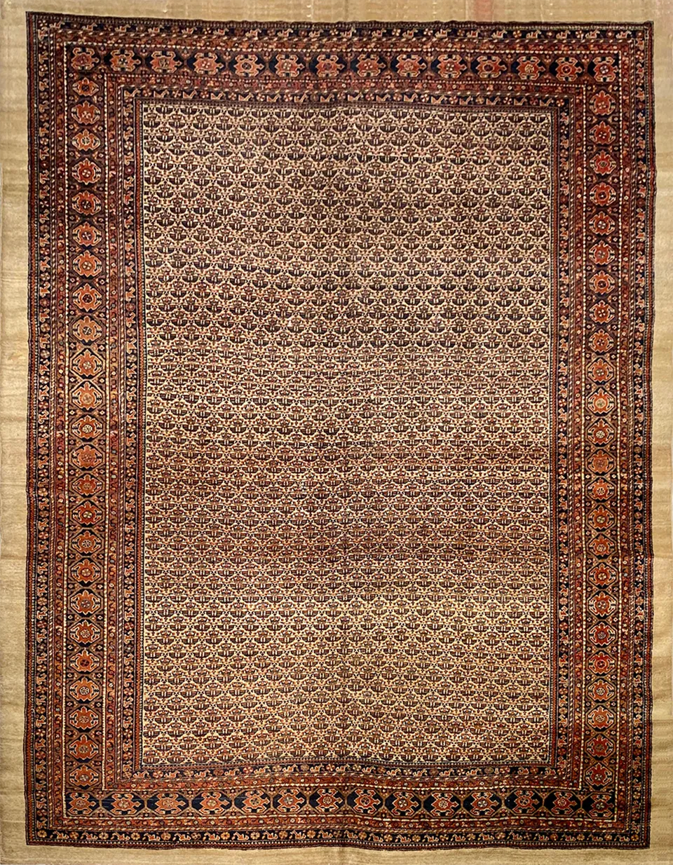 illulian-hamadan-turtles-tappeto-persiano-290x243-cm-lana image 1