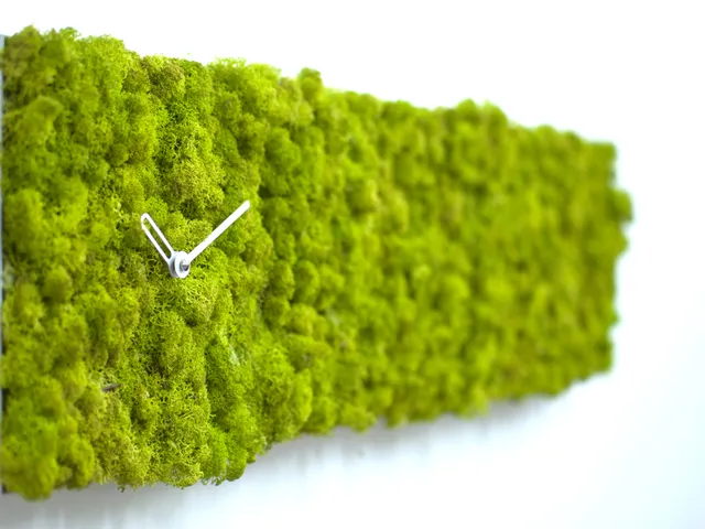 progetti-clock-circle-orologio-da-parete-in-acciaio-e-lichene-naturale image 1