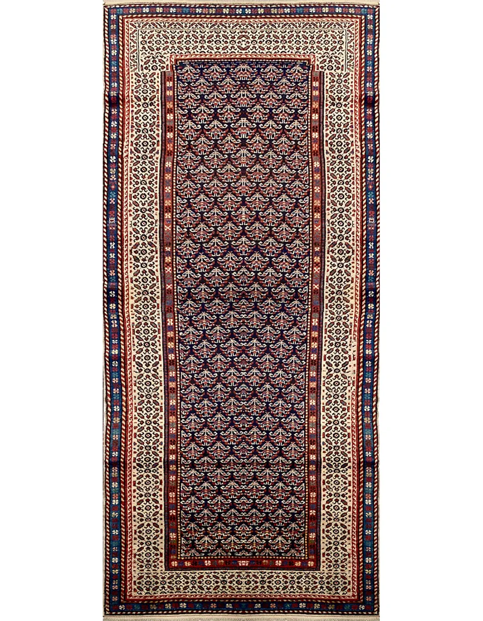 illulian-shirwan-runner-tappeto-caucaso-295x101-cm-100-lana image 1