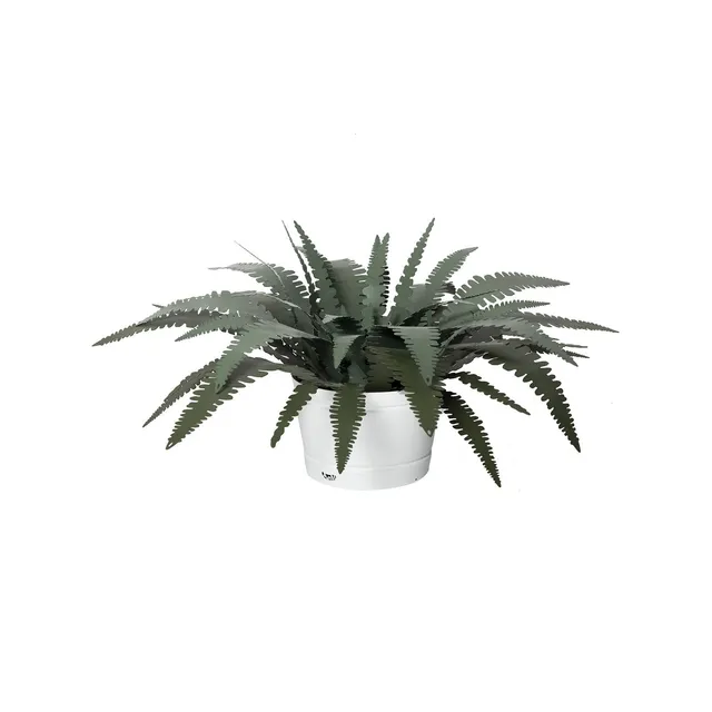 arti-mestieri-pianta-decorativa-felce-piccola-in-ferro image 1