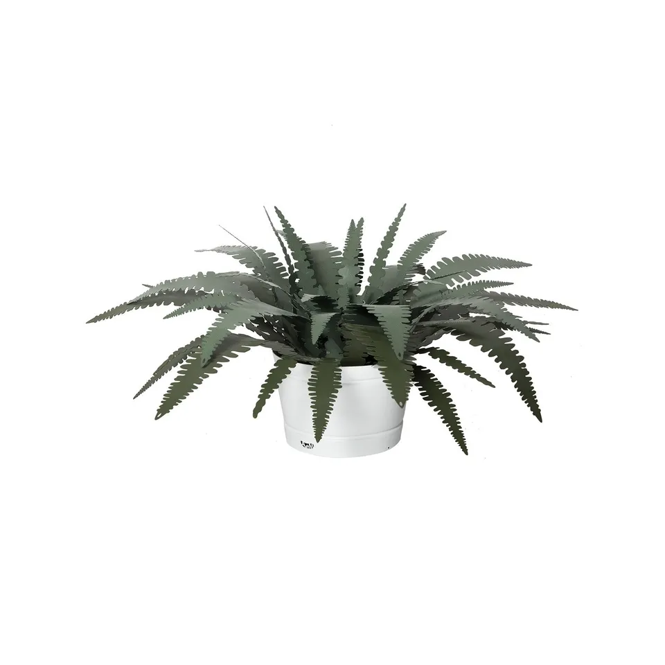 arti-mestieri-pianta-decorativa-felce-piccola-in-ferro image 1