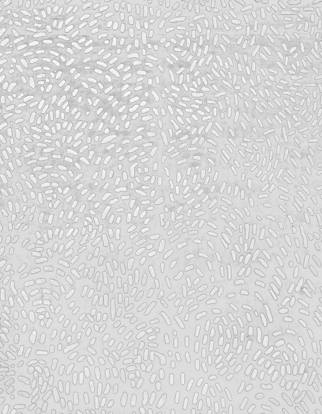 illulian-ronin-tappeto-design-collection image 1