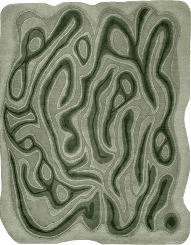 illulian-everglades-tappeto-300x240-cm-100-lana image 1
