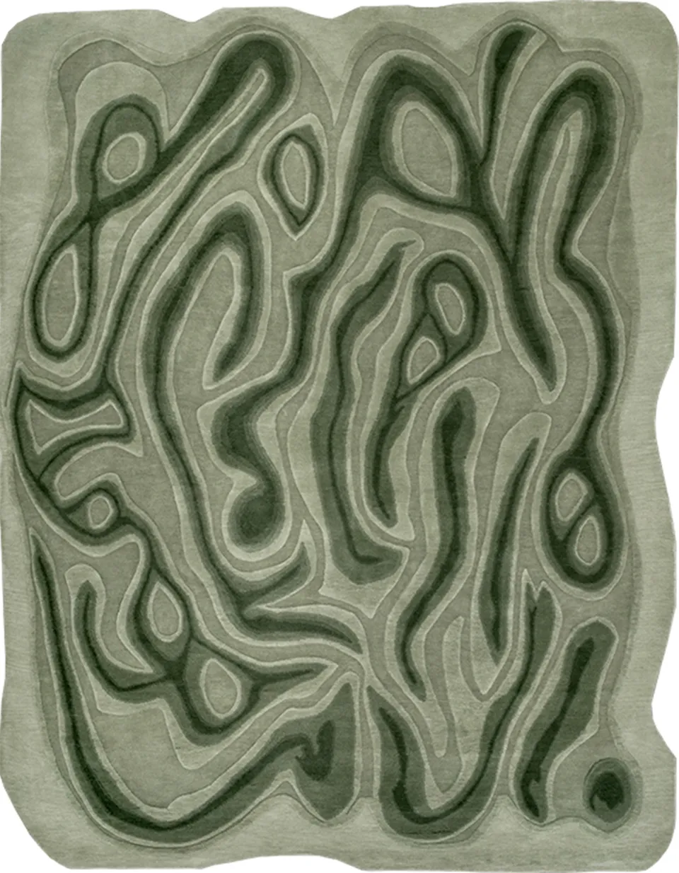 illulian-everglades-tappeto-design-marc-sadler image 1