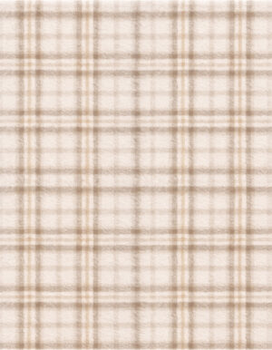 illulian-dunmore-versione-b-tappeto-nomad image 4