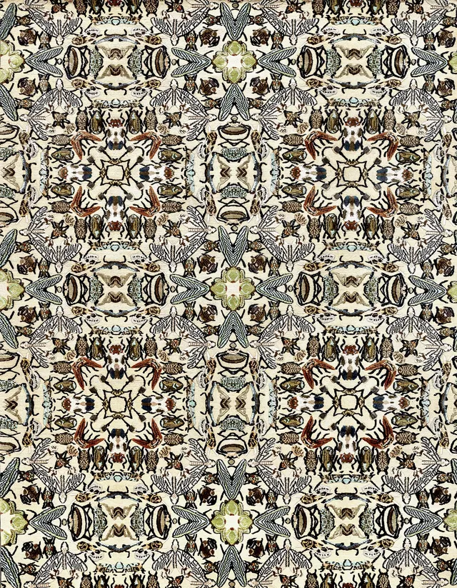 illulian-insecta-tappeto-design-limited-edition image 1