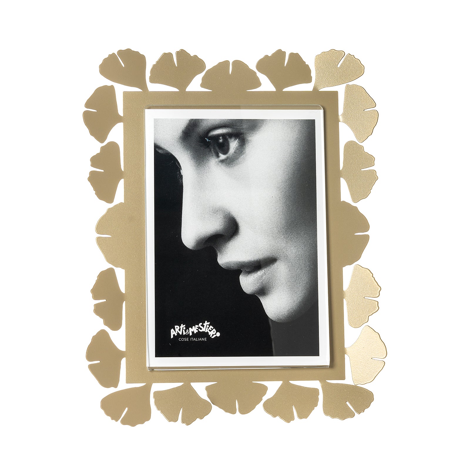 arti-mestieri-ginkgo-portafoto-grande-in-ferro-e-plexiglass image 2