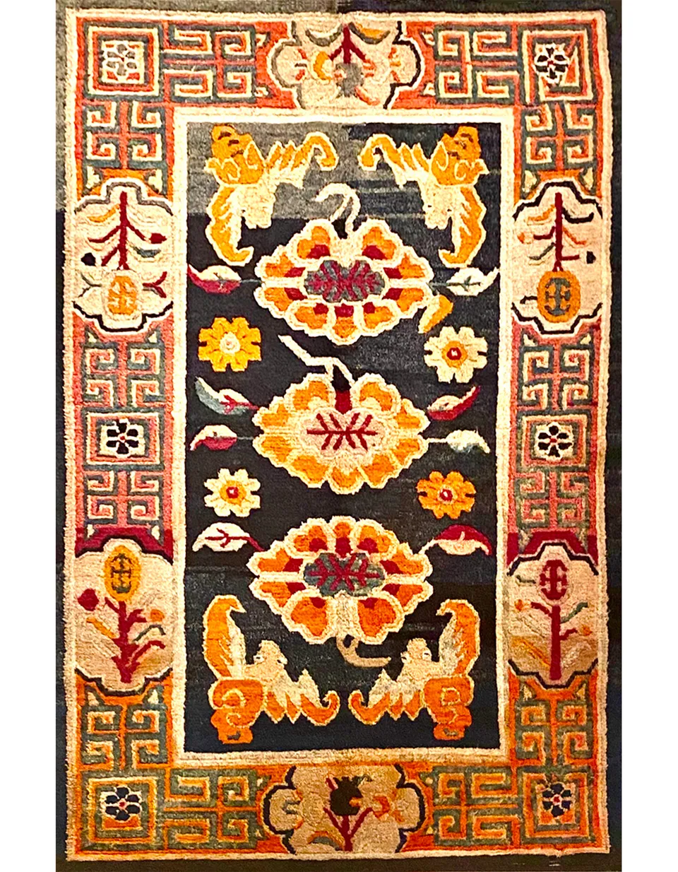 illulian-tibet-shou-bats-tappeto-nomad-157-x-91-cm image 1