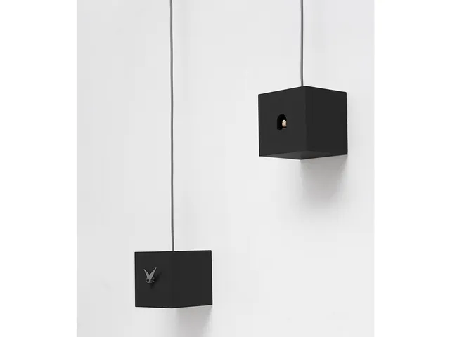 progetti-tutu-orologio-a-cuc-moderno-con-uccellino-remoto image 1